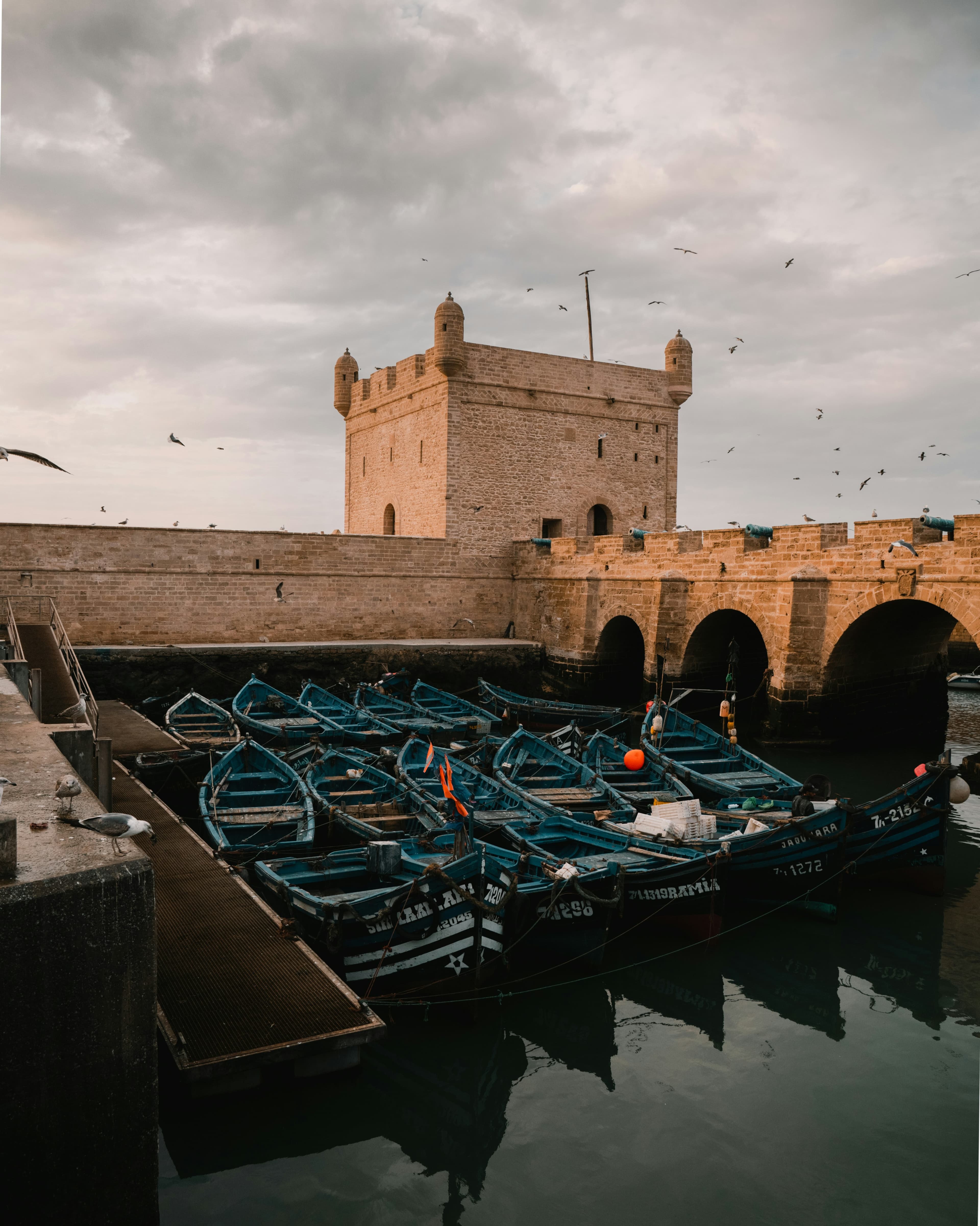 Essaouira Coastal Escape
